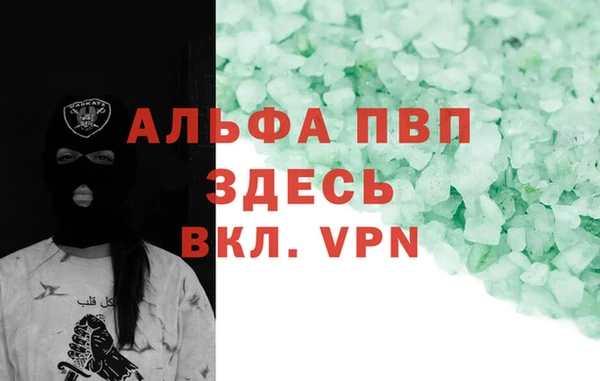 стаф Абинск