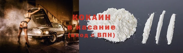 трава Сатка