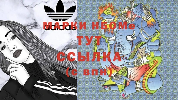 стаф Абинск