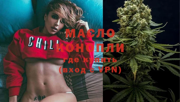 тгк Абаза