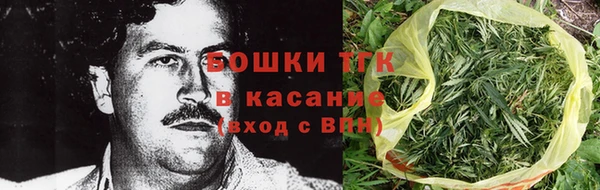 тгк Абаза