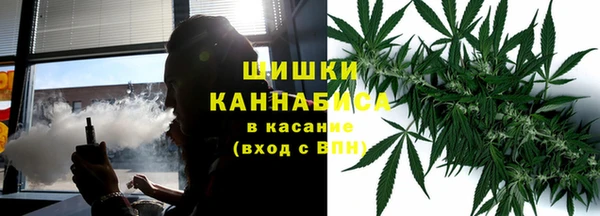 тгк Абаза
