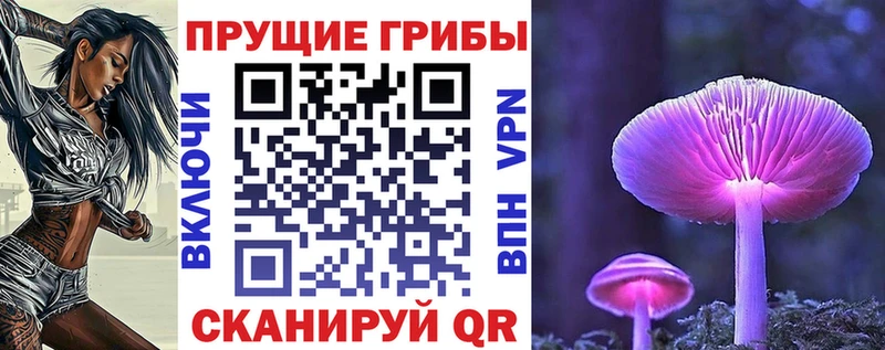 Псилоцибиновые грибы MAGIC MUSHROOMS  как найти закладки  гидра зеркало  Тихвин 