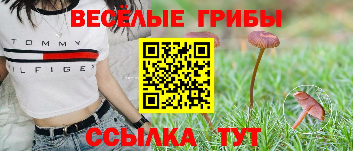 Галлюциногенные грибы MAGIC MUSHROOMS  Вход с VPN  Тихвин 